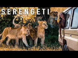 Is a Serengeti Safari Worth It? (Honest Opinion)