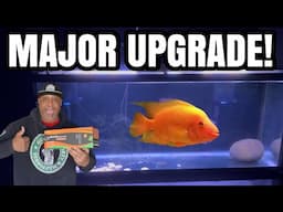 Upgrade your Aquarium Heater (Hygger Black Hole)