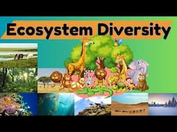 Ecosystem Diversity Explained 🌎 | Why Different Habitats Matter for Life on Earth