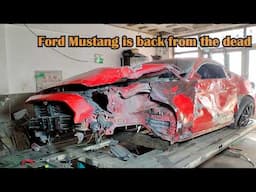 Red Mustang's Phoenix Rising: From Wreck to Iconic Restoration