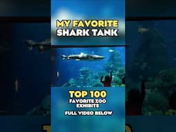 🔅My personal favorite shark tank design🔅