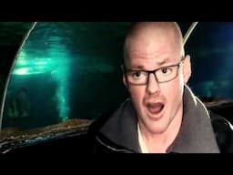 Heston's Fishy Feast