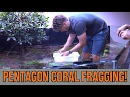Fragging Coral INSIDE WWC's 1200-Gallon Reef Tank!