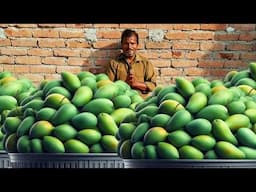 आम की खट्टी मीठी चटनी शादी पार्टी वाली । Aam Ki Chutney । Mango Chutney । Aam ka Chunda