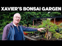 A Tour of Xavier's Bonsai Garden