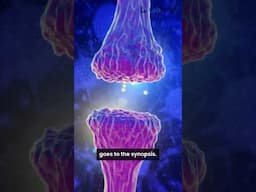 Why Human Brain Consumes So Much Energy?