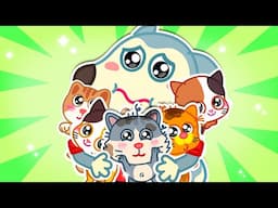 Pet Care - We Love Our Pets 🎶 Wolfoo Nursery Rhymes & Kids Songs