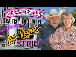Our 5 Favorite Things About the Flamingo Corner