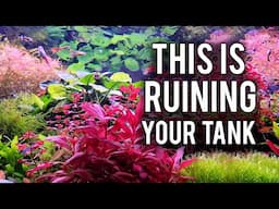 7 Aquarium Rules Everyone Breaks And Pays For