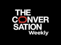 Brazil’s anti-vax disinformation economy