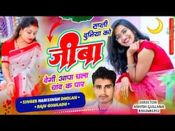 Trending Song 2025 || साली दुनिया को जीबा देगी आपा चला चांद क पार '' ''Harisingh dholan '' #meena..