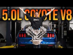 Finishing the Forged Motor Build - Mustang Build Episode 3