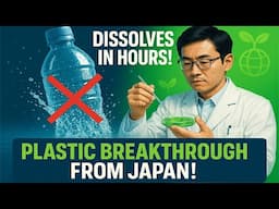 Japanese Scientists Develop Plastic that Dissolves within Hours | Climate Change Solutions