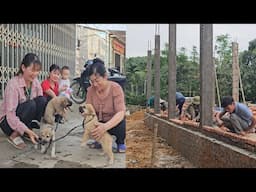 Erect pillars and walls for the dream house. Kieu takes the puppy to the market to sell. Ep 360
