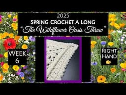 2025 Spring CAL- Week 6: “Wildflower Oasis Throw” (Right Hand)