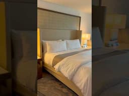 Ocean View Room Tour | Westin St. Thomas #solotravel #stthomas #virginislands #roomtour