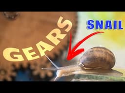 My Invention Turns Snails Into Artists • Full Tutorial