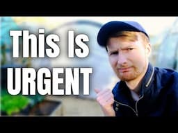 The Job I Need To Do ASAP! Allotment Gardening UK