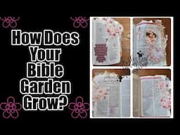Adding To A Bible Garden with Shalon