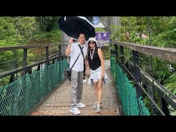 “KL LIEW”正在直播！auntie Liew的爱情故事，￼阿里山国家森林