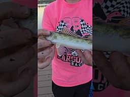 cheetah print walleye?? #fishing #walleye #shorts #subscribe