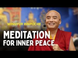 Meditation & Inner Peace: Mingyur Rinpoche's English Talk (May 31,2025, Toronto Tibetan Community)
