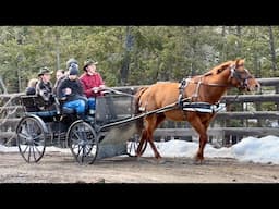 A Visit To our Amish Roots