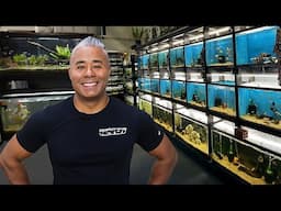 This AMAZING Fish Store Started in a GARAGE [Tour]