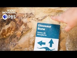 How Colorado Dinosaur Bones Started Paleontology’s Most Brutal Feud