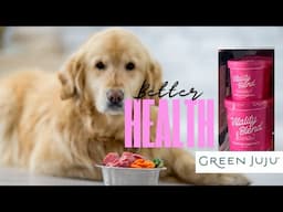 How to Boost Your Dog’s Health with Vegetables | Green Juju’s New Vitality Blend