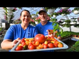 Determinate vs. Indeterminate Tomatoes: Which One For Your Garden?