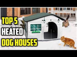 Best Heated Dog Houses in 2025: Top Picks for Heated Dog Houses Your Dog Will Love
