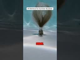 No1 Jig Retrieve