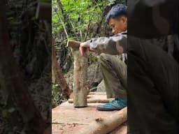 Build - Bushcraft, Survive Alone in the Wild Forest Part 2 #shorts