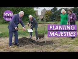 King Charles and Sweden's King Carl XVI Gustaf Plant ‘Beautiful’ Swedish Oak