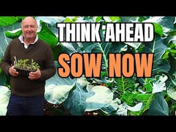Think Ahead and Sow Now – Vegetables to Sow for Next Year’s Harvest