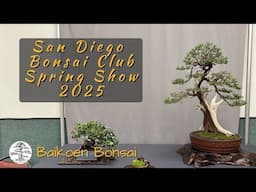 San Diego Bonsai Club - 2025 Spring Show - Bonsai Exhibition - Baikoen Bonsai Club
