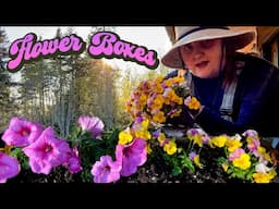 Planting Flower Boxes! | Petunias & Violas!