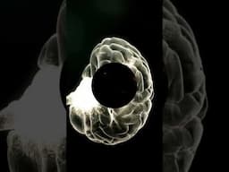 Consciousness Creates Reality - Part 3 #consciousness  #reality   #simulation  #quantumphysics
