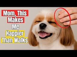 22 Things Dogs Love More Than Walks - Even Experienced Owners Don’t know About This