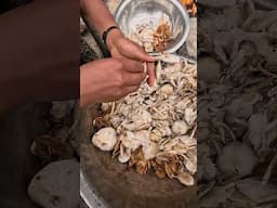 #wildmushrooms