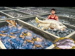Nadi Sookh Gaya Fisherman Ki Lifestyle Fish Farming Hindi Kahaniya Hindi Moral Stories Hindi Stories