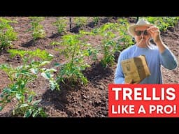 40 Tomato Trellis Ideas for Any Garden!