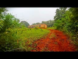 #33 ASMR Pre-winter morning at the homestead. Eastern Highlands, Zimbabwe.