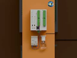 how to connect 4 to 20mA SSR with PLC ? #electricalwiring  #automationtechnology #electrician