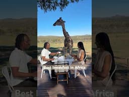 The best way to start the morning in Namibia 🇳🇦 #africa #namibia #giraffe #chewstoexplore
