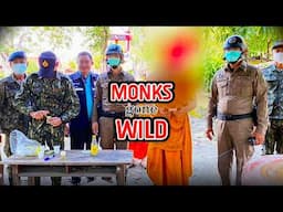 Wtf is going on with Thai monks