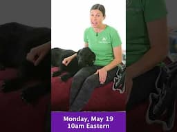 Got Hip Pain? Join Me May 19 @ 10am Eastern for Hip Pain Relief Stretches LIVE!