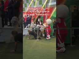 Meanwhile in Japan Redwave team Kawasaki #japan  #shortsvideo  #shortsviral  #shorts