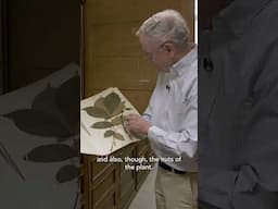 The Man who Collected 50,000 Plants